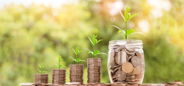 Financial Growth